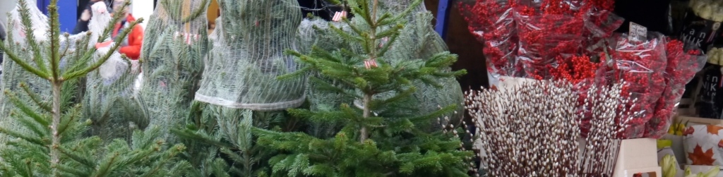 Marylebone High Street Christmas trees for sale