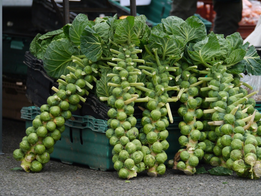 Sprouts at farmers market